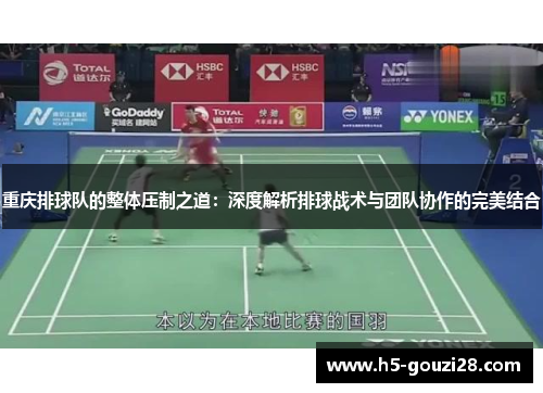 重庆排球队的整体压制之道：深度解析排球战术与团队协作的完美结合